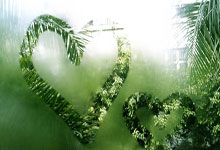 爱尔兰选手再次获奖，实力超群