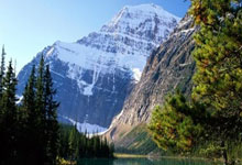 爱尔兰选手再次获奖，实力超群