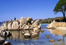 爱尔兰选手再次获奖，实力超群