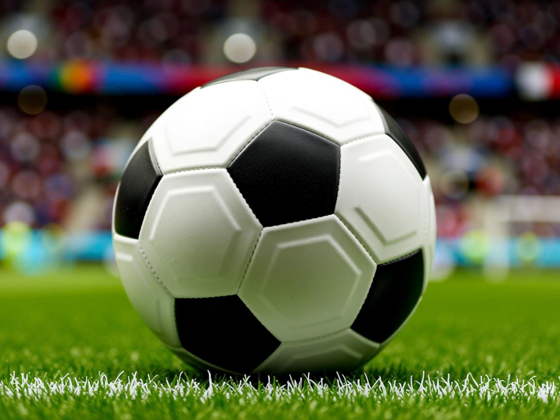 星空app官网下载-外教执教风格为何难与本土球员融合，外教员是什么  第2张