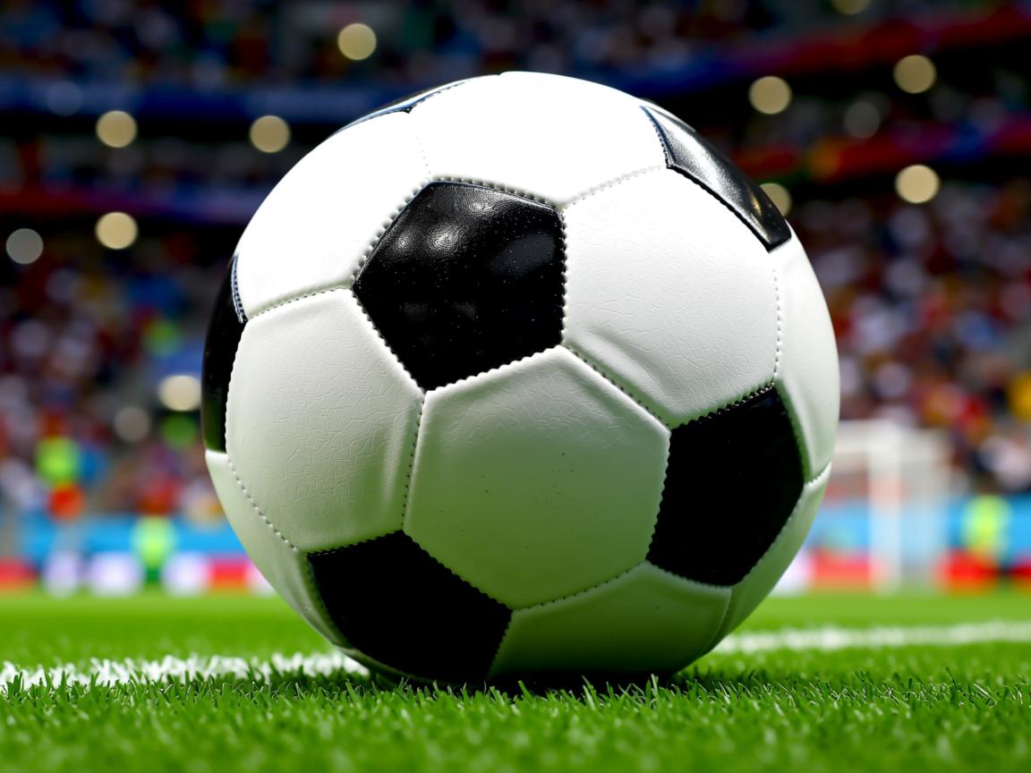 星空体育官网首页-未来五年：澳大利亚队如何提升国际赛场上的竞争力，澳大利亚国家队